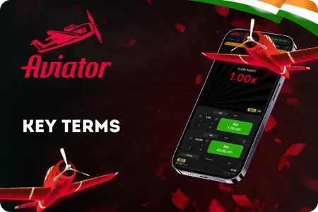 Key Terms in Aviator for players